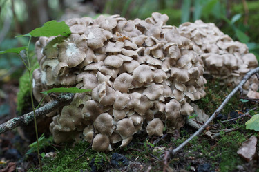 Similar image 22622486