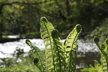 Similar image 22622490