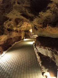 Similar image 22622491