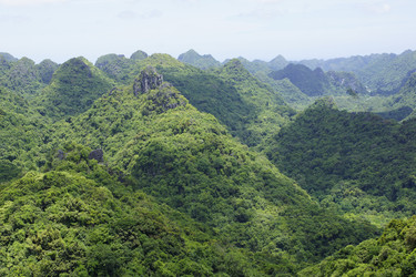 Similar image 22622492