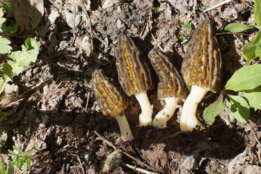 Similar image 22622493