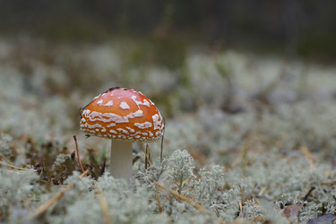 Similar image 22622494