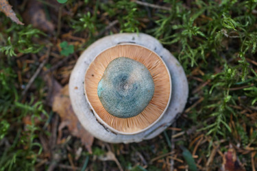 Similar image 22622497