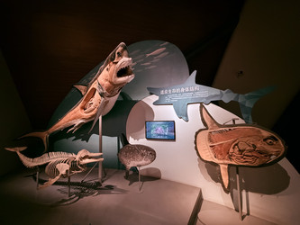 Similar image 22627651