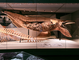 Similar image 22627659