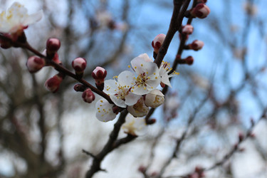 Similar image 22626844