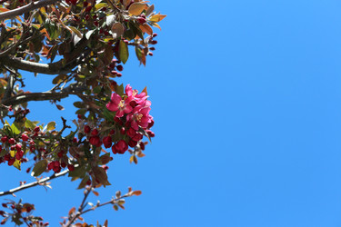 Similar image 22626845