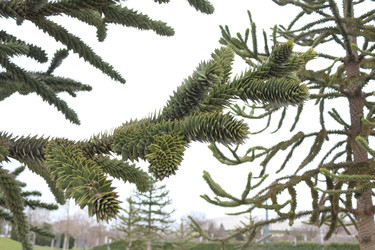 Similar image 22626846