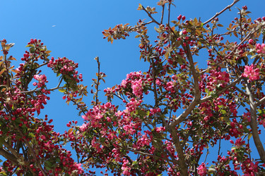 Similar image 22626849