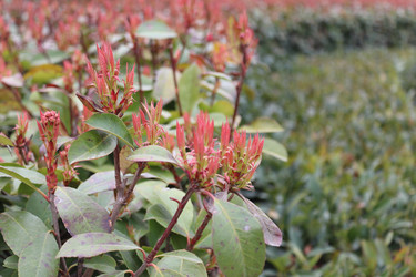 Similar image 22626850