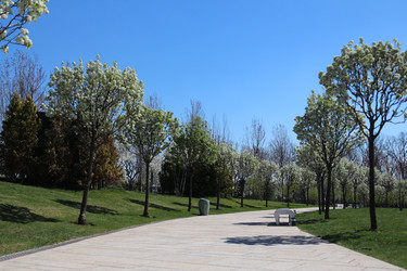 Similar image 22626851