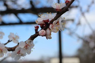 Similar image 22626814