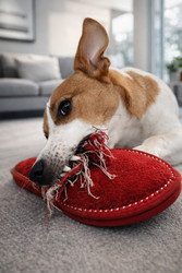 Similar image 22628008