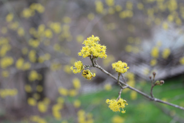 Similar image 22626815