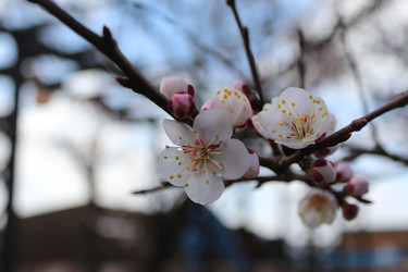 Similar image 22626818