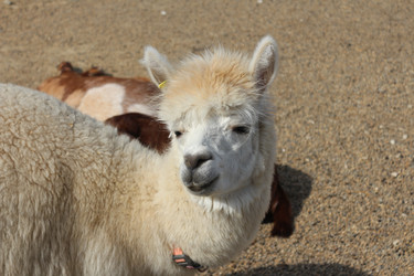 Similar image 22626821