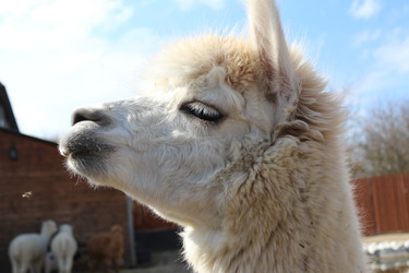 Similar image 22626822