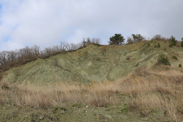 Similar image 22626834