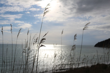 Similar image 22626835