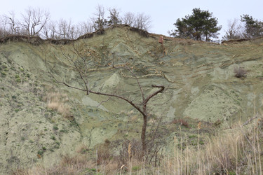 Similar image 22626836