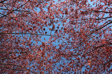 Similar image 22621860