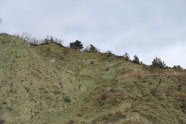 Similar image 22626838