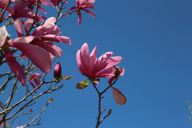 Similar image 22621861