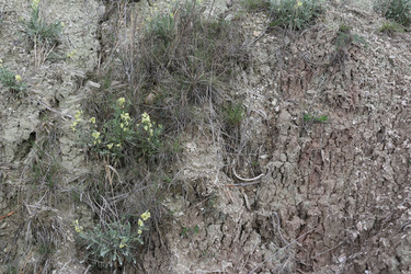 Similar image 22626839