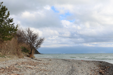 Similar image 22626841