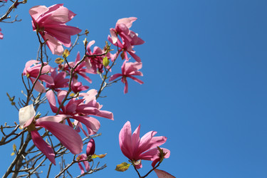 Similar image 22621871