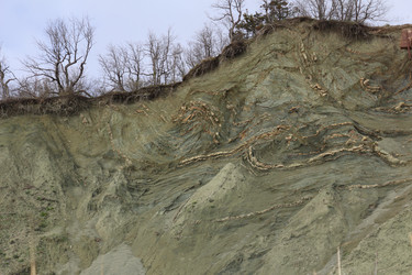 Similar image 22626842