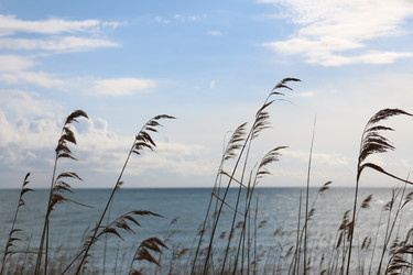 Similar image 22626843