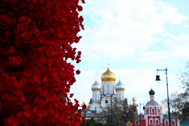 Similar image 22621862