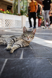 Similar image 22626125