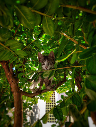 Similar image 22626126