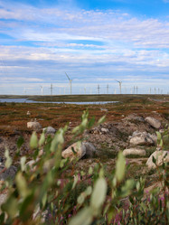 Similar image 22626131