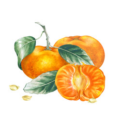 Similar image 22633428