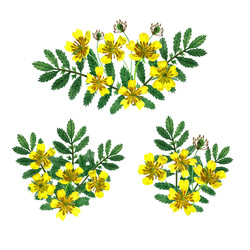 Similar image 22629863