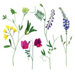 Similar image 22629866