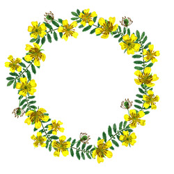 Similar image 22629875