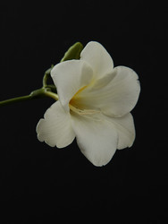 Similar image 22627852