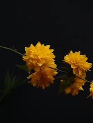 Similar image 22627854