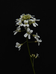 Similar image 22627868