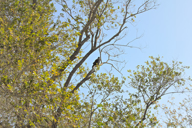 Similar image 22621882