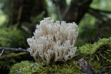 Similar image 22622498