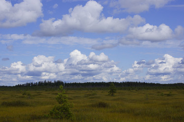 Similar image 22622499