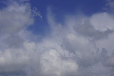 Similar image 22622500