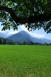 Similar image 22627701