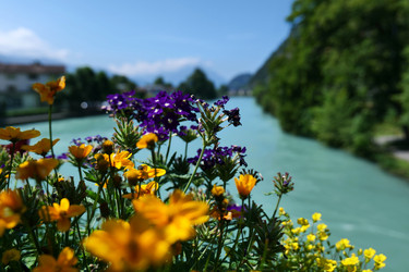 Similar image 22627702