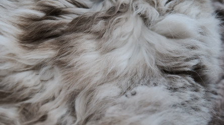 Similar image 22627706